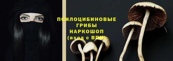 jwh Дмитров