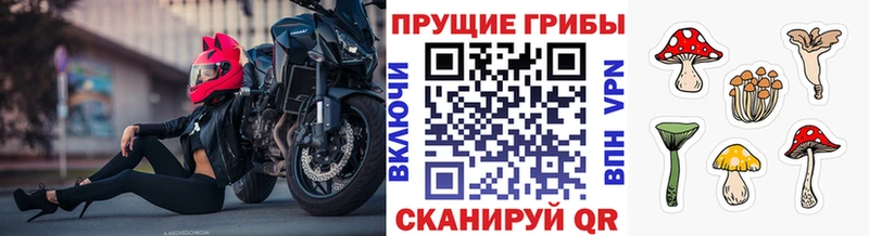Псилоцибиновые грибы ЛСД  omg маркетплейс  Ликино-Дулёво  где купить наркоту 
