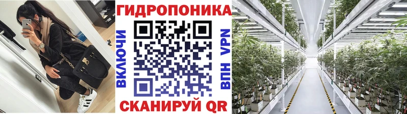 Бошки марихуана план  Ликино-Дулёво 